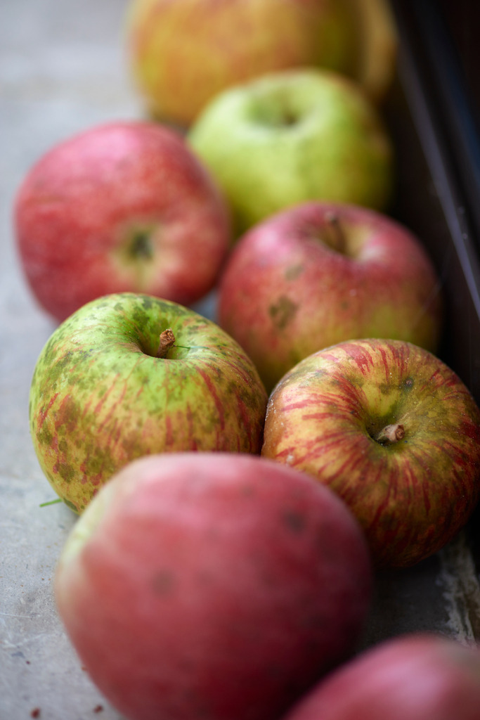 verschiedene Äpfel auf dem Fenstersims | Austria - September 10, 2018: verschiedene Äpfel auf dem Fenstersims. - Realisiert mit Pictrs.com