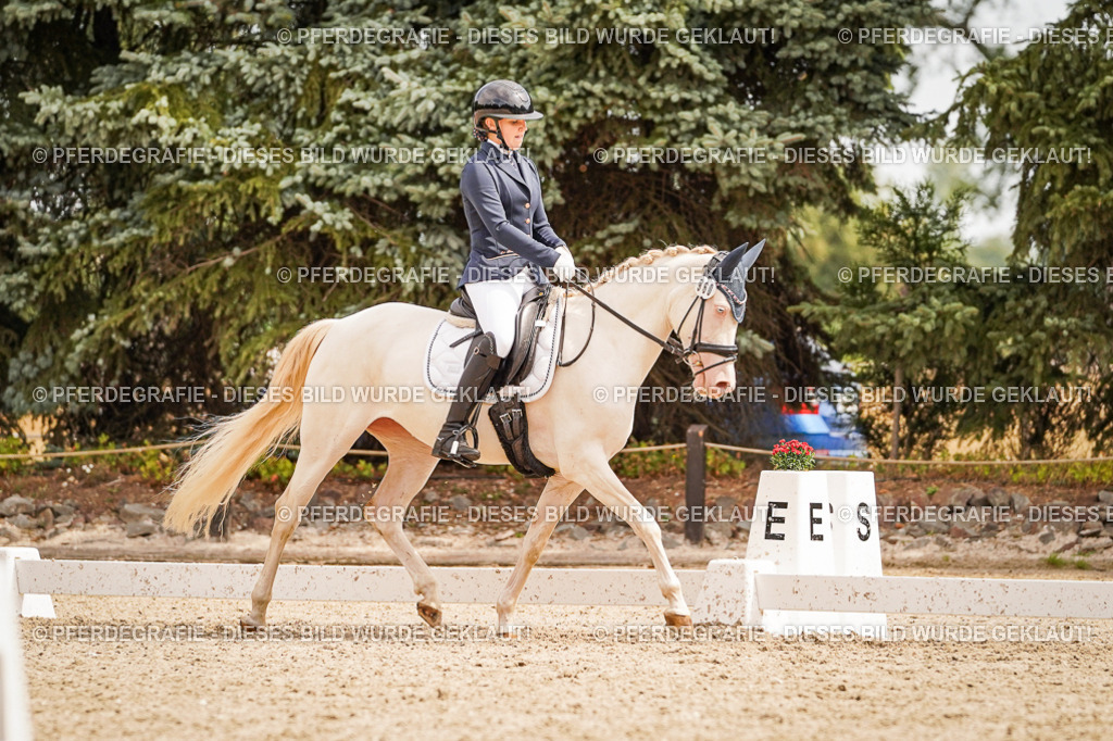 DSC01979 | Pferdegrafie