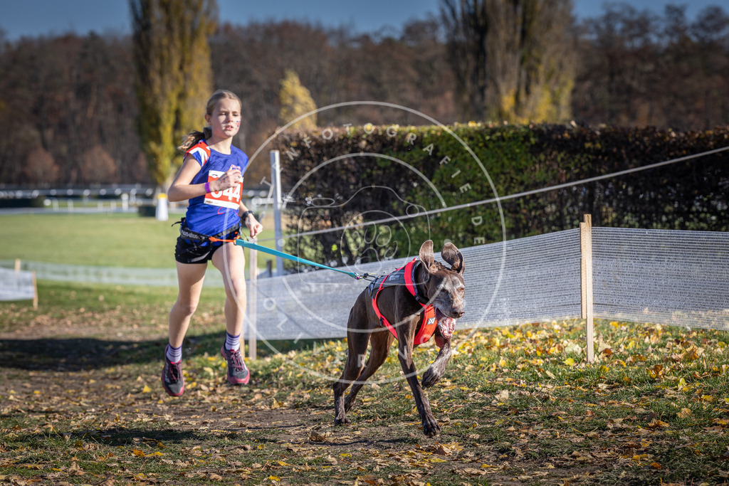 CaniXpix_DV3A8418 | Hundefotografie, Tierfotograf, Pfotenfotografie, Fotoshooting Hund, Hunde Portrait, Hundesport, Hundeportraits, Heideshooting, Hunde, Sportfotograf, Hundefotograf, Turnierhundsport, THS,  - Realisiert mit Pictrs.com