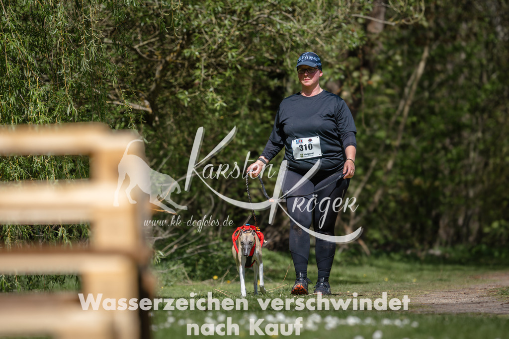 1235DZ6_4876 | kk-dogfotos