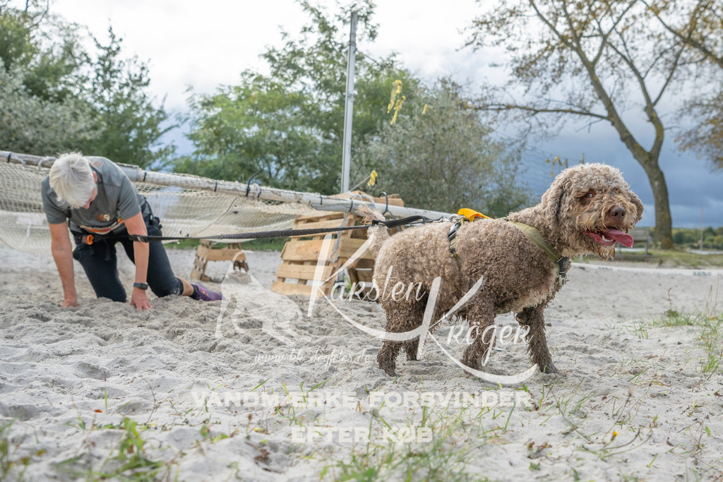 1133_ZZ97728 | kk-dogfotos