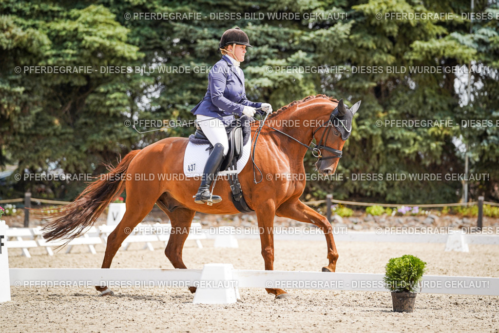 DSC00578 | Pferdegrafie