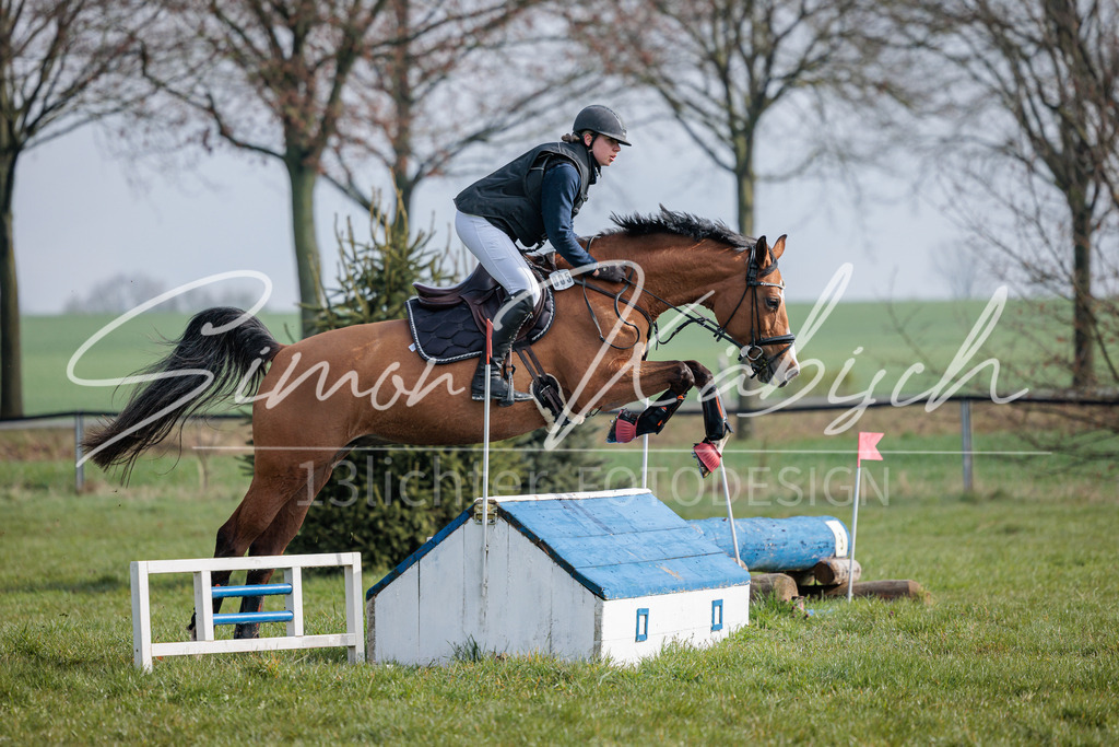 20260329-_3LI3559 | Tierfotografie Pferde, Hunde, Katzen, Haustiere.
Turnierfotografie Reitturniere, Reiten, Springreiten, Dressur in Hanau, dem Main-Kinzig-Kreis und dem Rhein-Main- Gebiet um Frankfurt