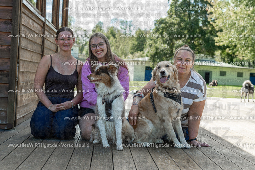 Hundeschwimmen_Volksbad_2026-allesWIRTHgut_Tierfotografie-2609061421-7R501044 | Professionelle Tierfotografie in Mönchengladbach von Daniel Wirth (allesWIRTHgut). Liebevolle & natürliche Bilder von Hunden & Katzen für unvergessliche Erinnerungen.