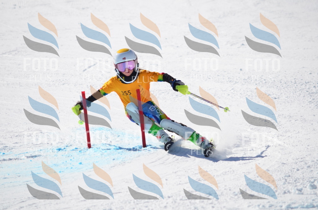 C8468 | holidayphoto