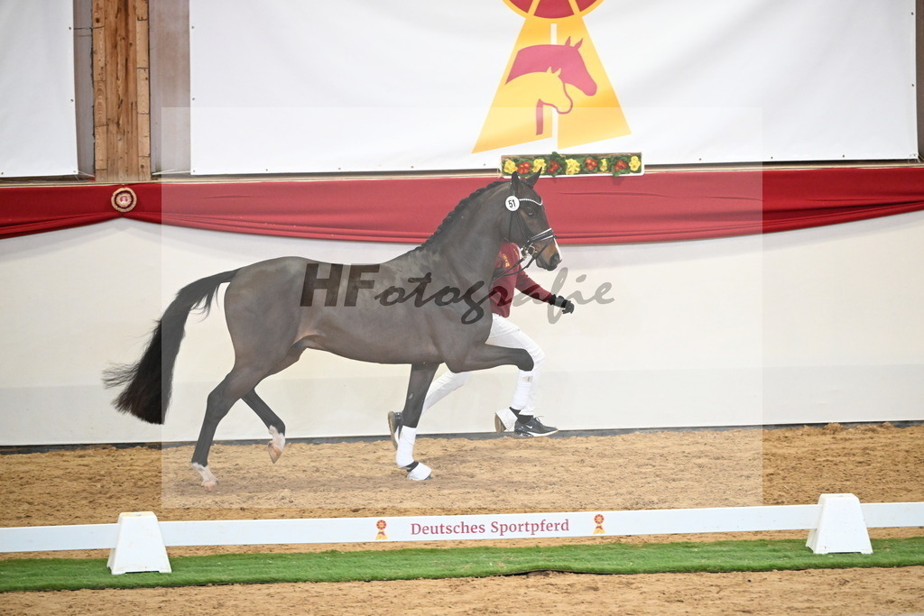 Kat.-Nr. 51 v. Donkey Boy_Lenzen_2250212 | hf-fotografie - Realisiert mit Pictrs.com