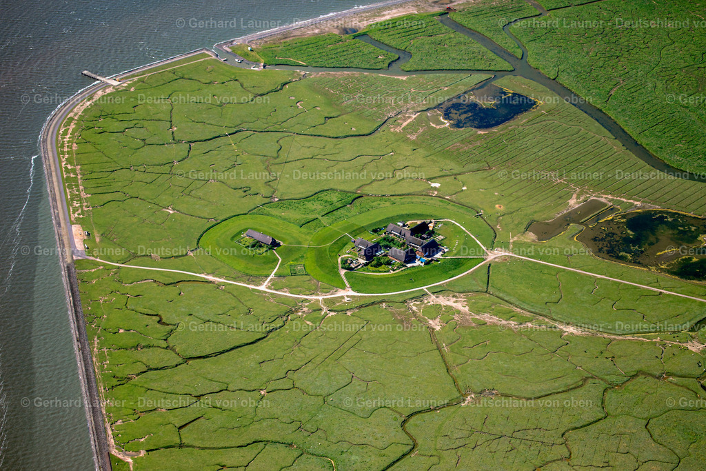 3090712 | Hallig Gröde, Nationalpark Schleswig-Holsteinisches Wattenmeer