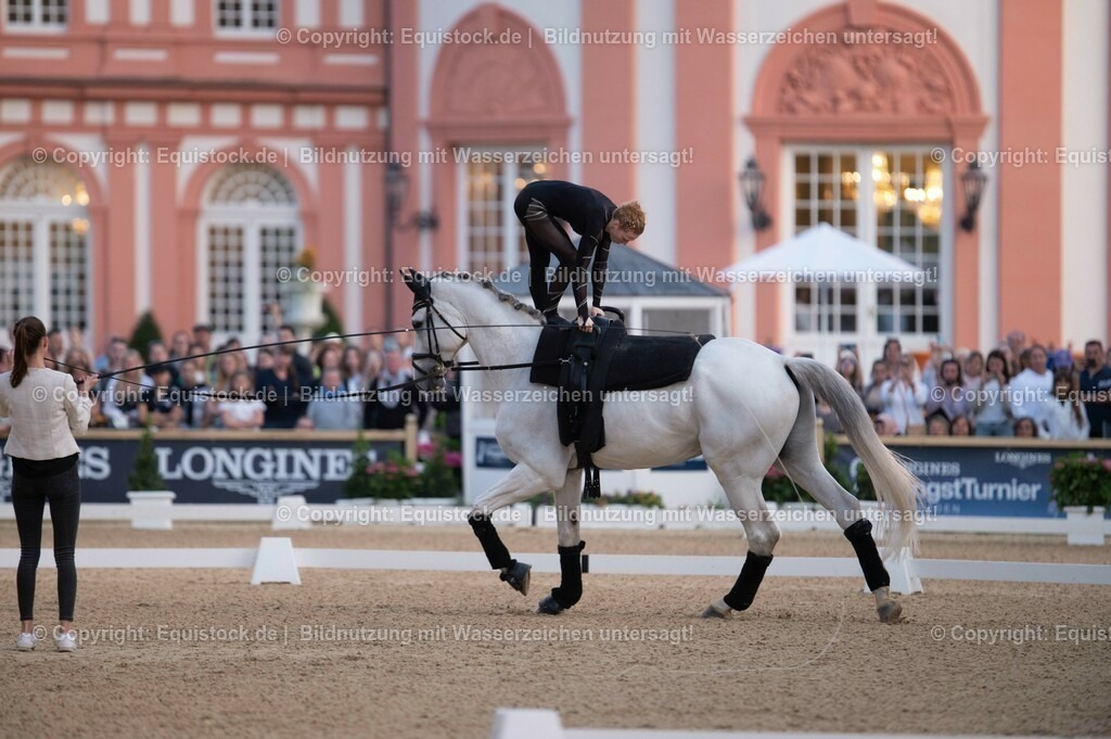 20230527_Voltigieren_NASPA_Flutlicht_0092 | equistock
