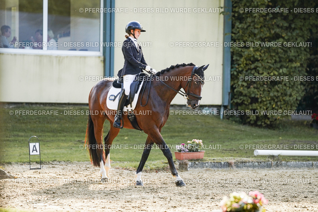 DSC05065 | Pferdegrafie