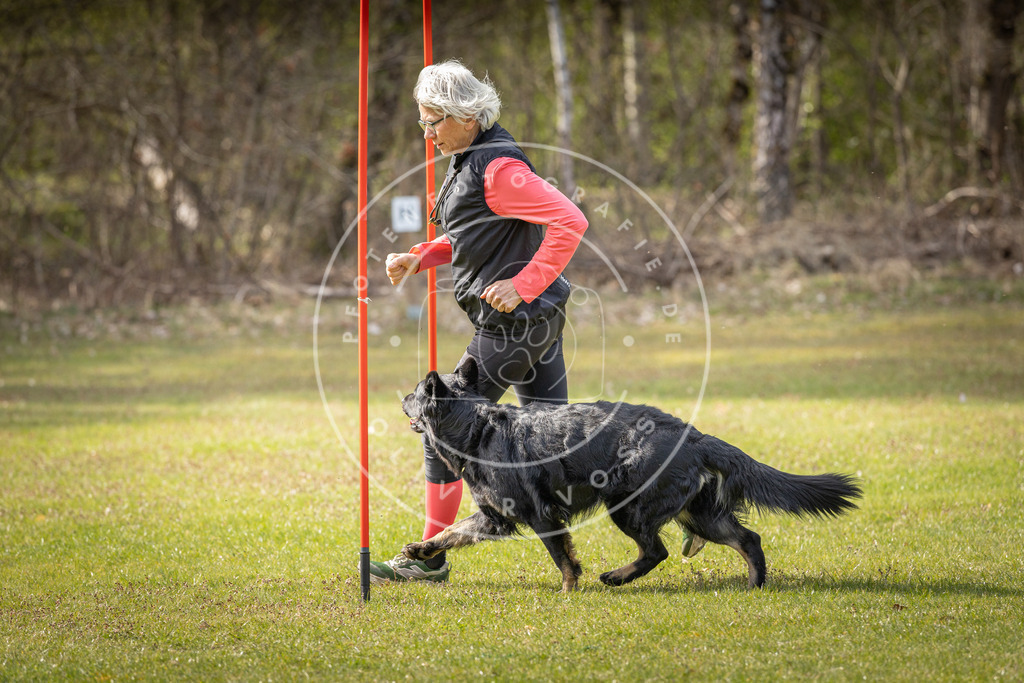 Pfotenfotografie_DV3A9615 | Hundefotografie, Tierfotograf, Pfotenfotografie, Fotoshooting Hund, Hunde Portrait, Hundesport, Hundeportraits, Heideshooting, Hunde, Sportfotograf, Hundefotograf, Turnierhundsport, THS,  - Realisiert mit Pictrs.com