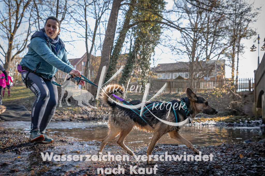 0828_ZZ91329 | kk-dogfotos