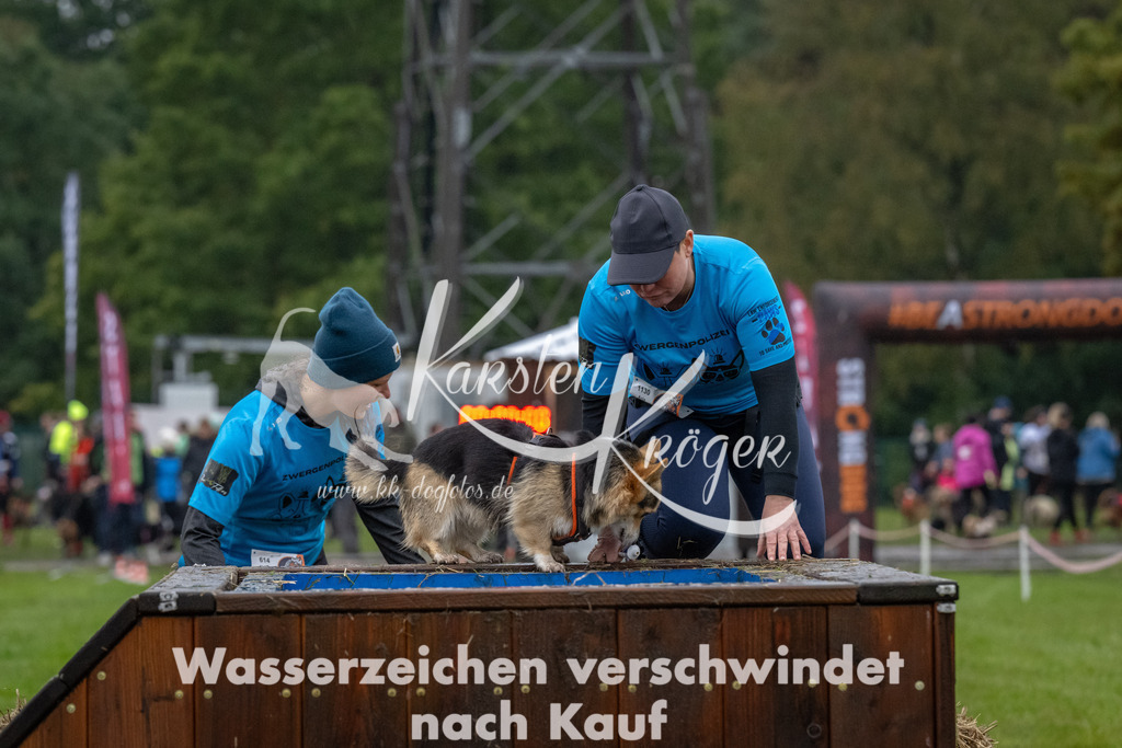 1107-93572 | kk-dogfotos