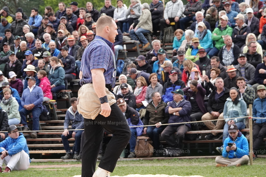 DSC03246 | Schwingen - Realisiert mit Pictrs.com