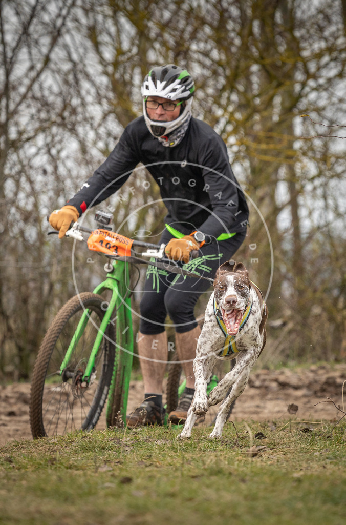 Pfotenfotografie_DV3A9696 | Hundefotografie, Tierfotograf, Pfotenfotografie, Fotoshooting Hund, Hunde Portrait, Hundesport, Hundeportraits, Heideshooting, Hunde, Sportfotograf, Hundefotograf, Turnierhundsport, THS,  - Realisiert mit Pictrs.com