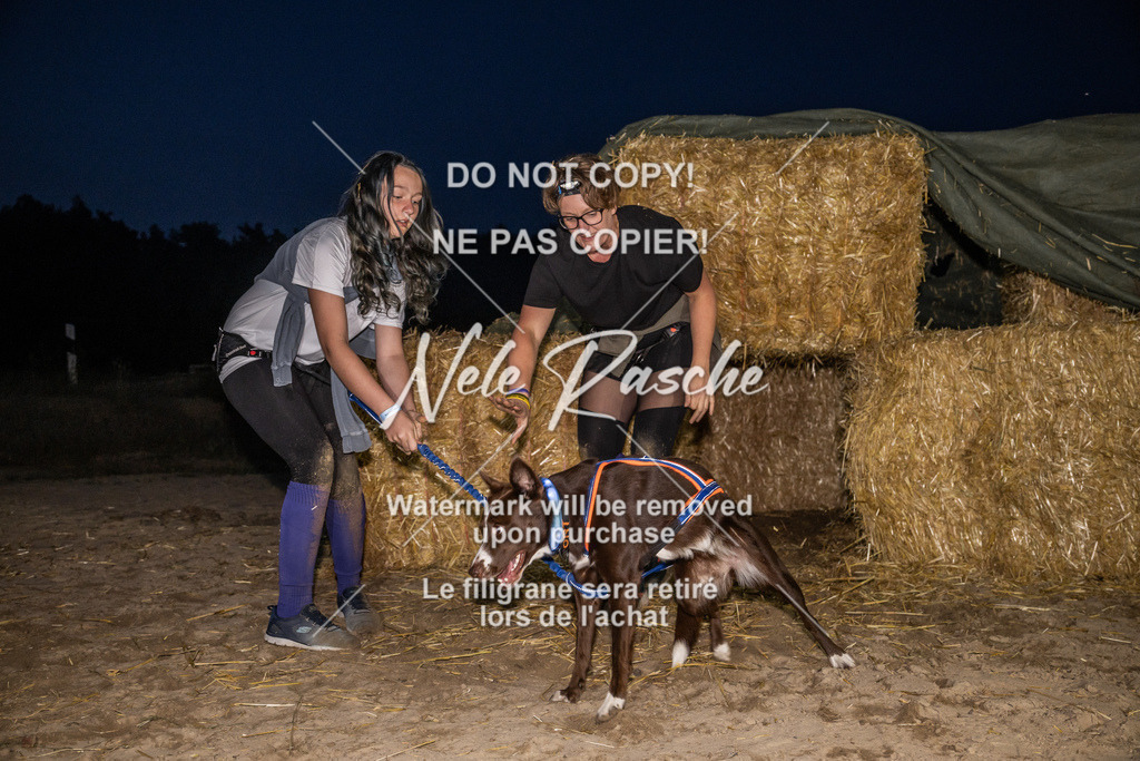 nelerasche_FrNacht_381 | nelerasche