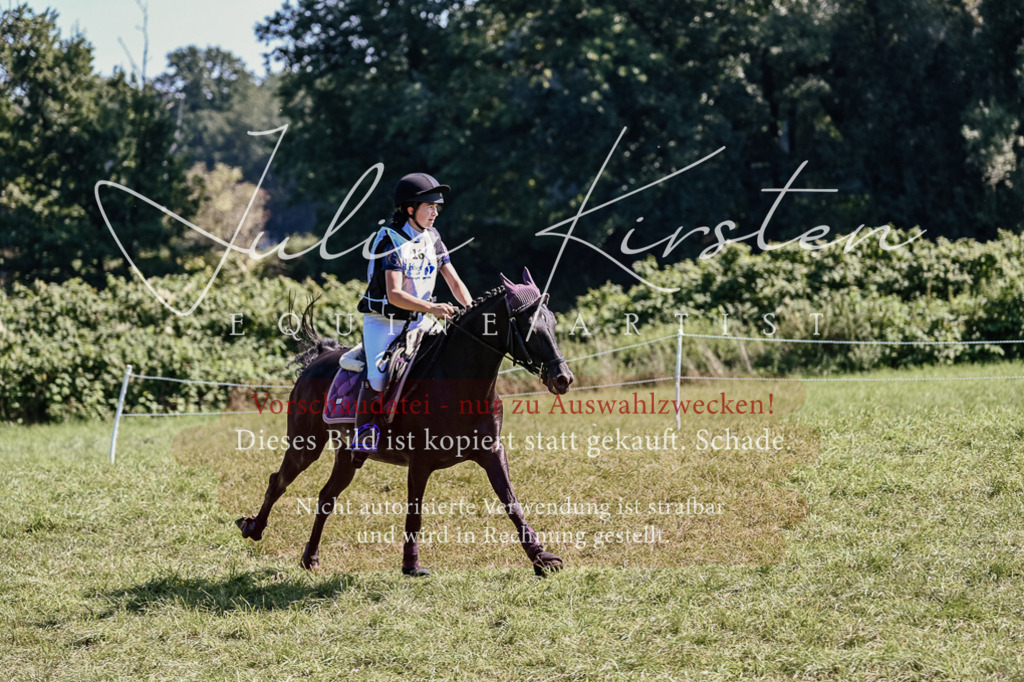DSC_1958 | Pferde- und Turnierfotografie in Westsachsen. Pferdeportraits, Auftragszeichnungen und intuitive Kunst.