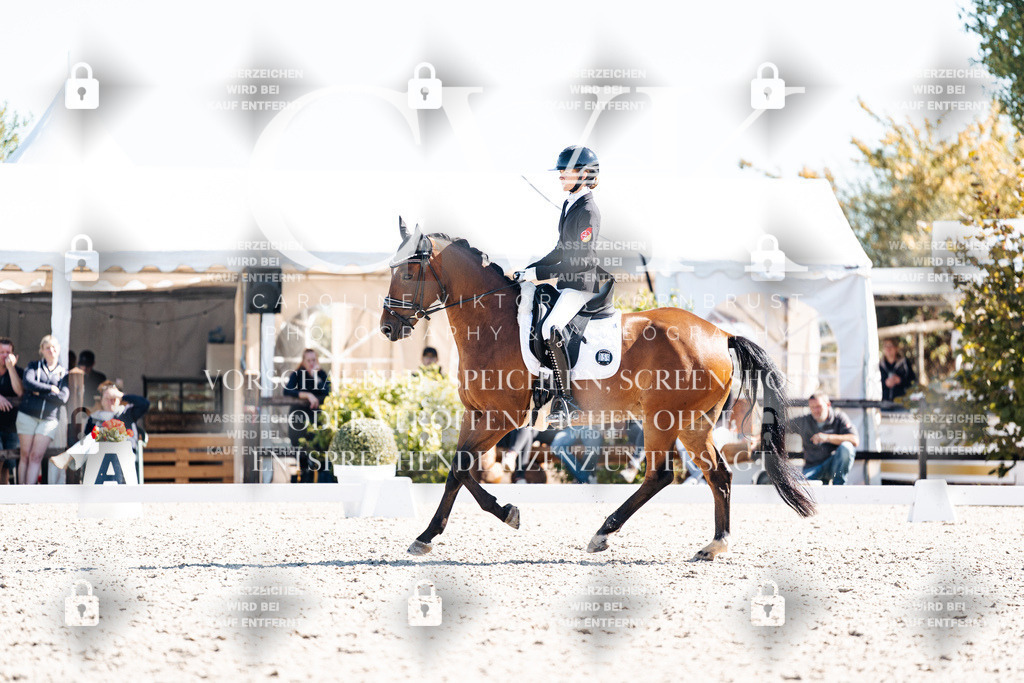 CK909256 | Turnierfotografie Pferdefotografie Trier Rheinland-Pfalz Pferdesport Reitsport Tierfotografie Sportfotografie Pferdevideo Pferdevideografie Equestrianvideography equestrianphotography  - Realisiert mit Pictrs.com