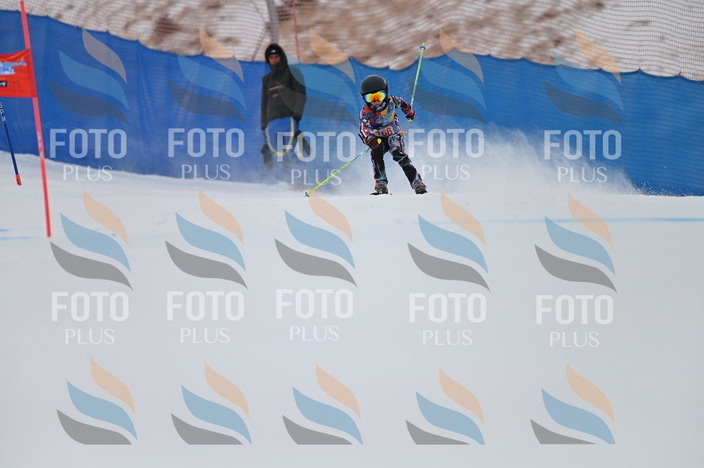 BGV_0355 | holidayphoto