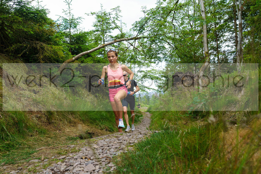 Rennsteig-Staffellauf 2023 | Rennsteig-Staffellauf - Hörschel bis Blankenstein - 17. Juni 2023