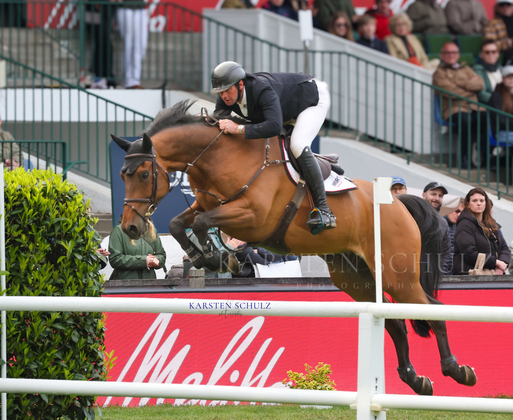 1B3A5068 | Reitsport Reiten