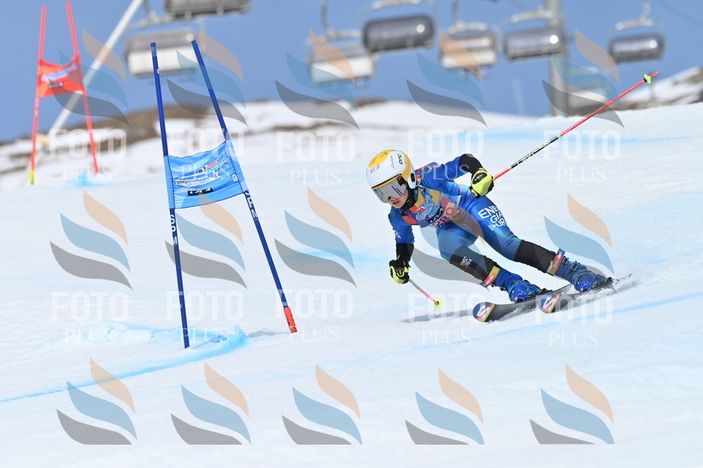 BGV_2408 | holidayphoto