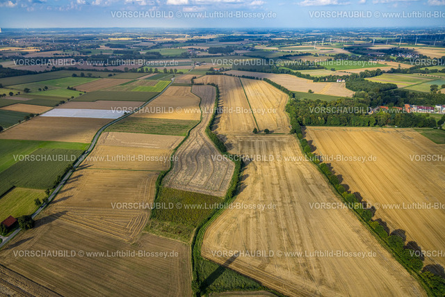 Werl230806466 | Luftbild, Baumallee auf Wiesen und Feldern am Uffelbach, Werl, Werl-Unnaer Börde, Nordrhein-Westfalen, Deutschland