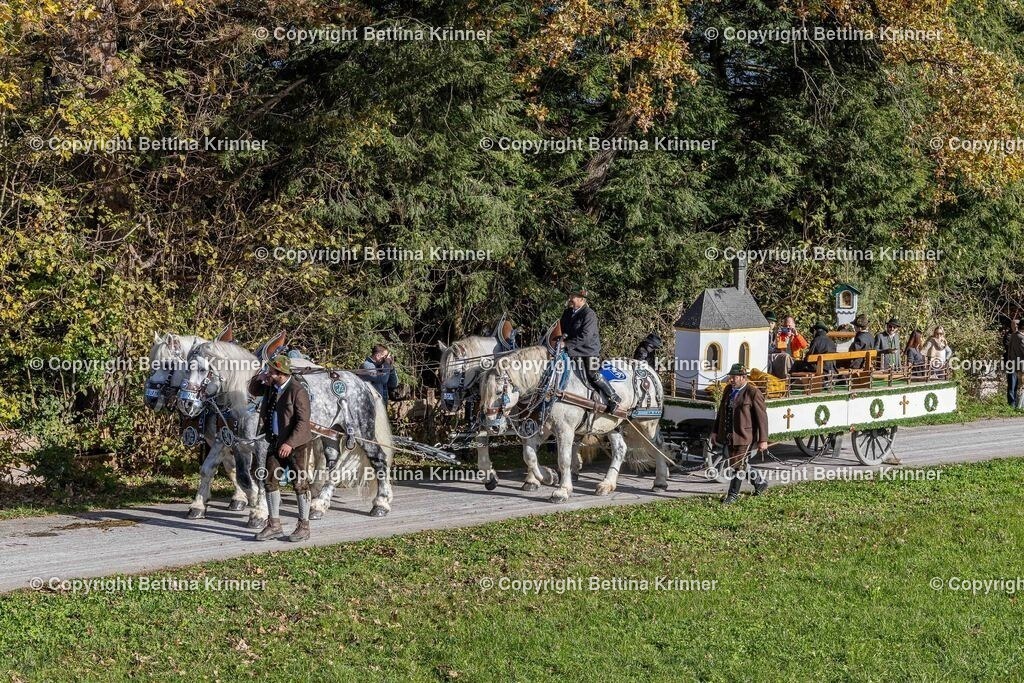 LBT24-477 | foto-bettina-krinner - Realisiert mit Pictrs.com