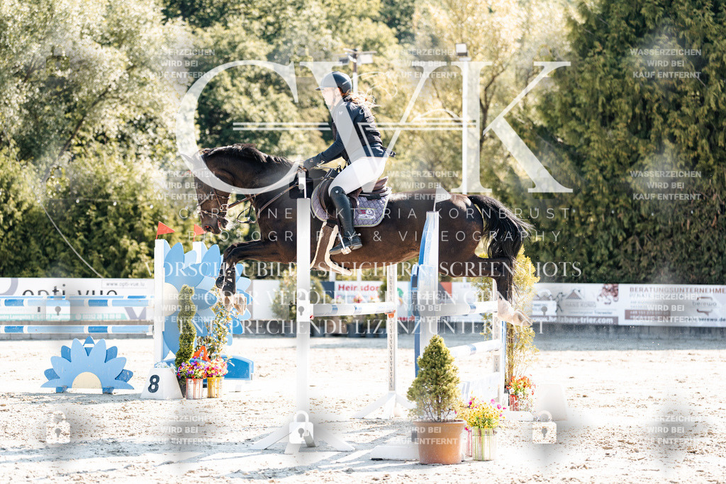 CK902507 | Turnierfotografie Pferdefotografie Trier Rheinland-Pfalz Pferdesport Reitsport Tierfotografie Sportfotografie Pferdevideo Pferdevideografie Equestrianvideography equestrianphotography  - Realisiert mit Pictrs.com