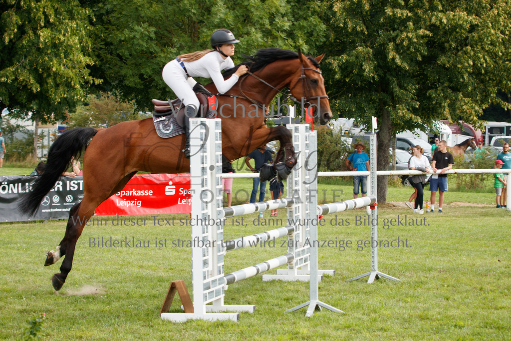 IMG_2643 | P. Berger Fotografie - Realisiert mit Pictrs.com