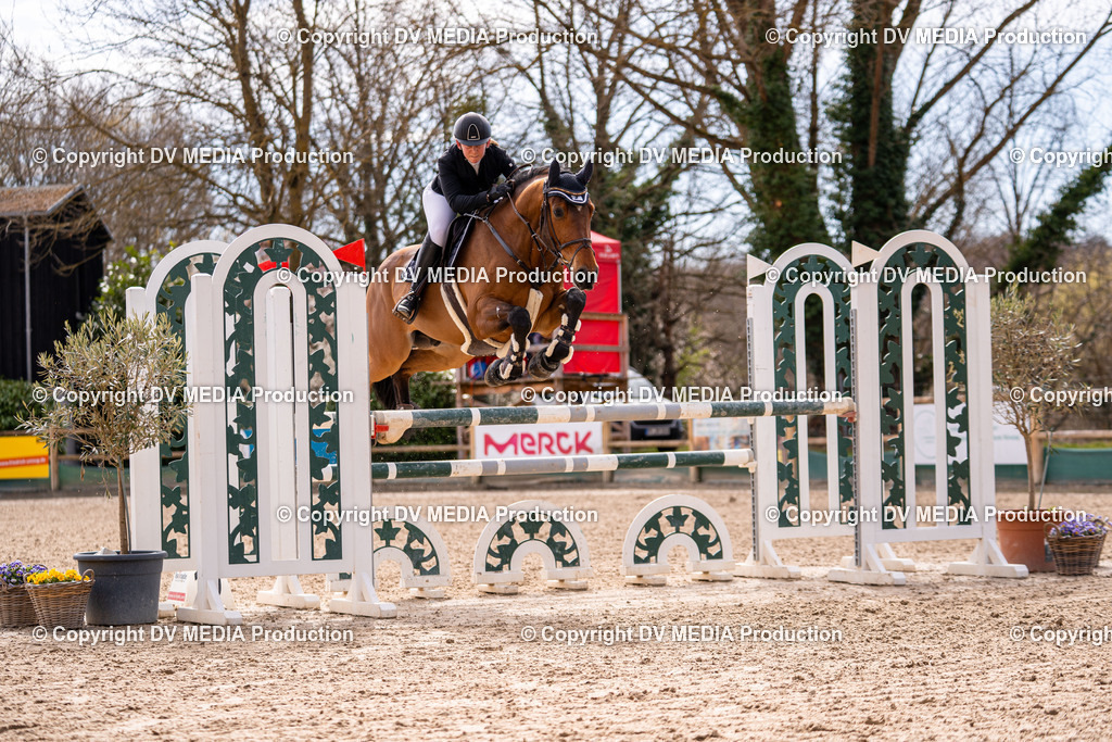 Kranichstein Tag 2-550 | dv-media-shop - Realisiert mit Pictrs.com