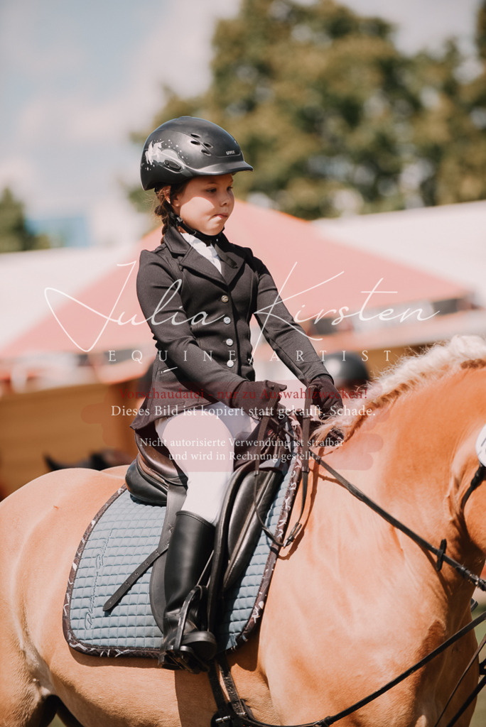 DSC_6105 | Pferde- und Turnierfotografie in Westsachsen. Pferdeportraits, Auftragszeichnungen und intuitive Kunst.