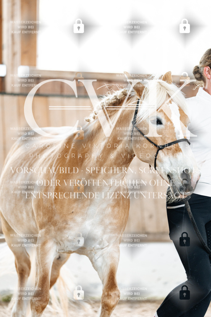 CK907885 | Turnierfotografie Pferdefotografie Trier Rheinland-Pfalz Pferdesport Reitsport Tierfotografie Sportfotografie Pferdevideo Pferdevideografie Equestrianvideography equestrianphotography  - Realisiert mit Pictrs.com