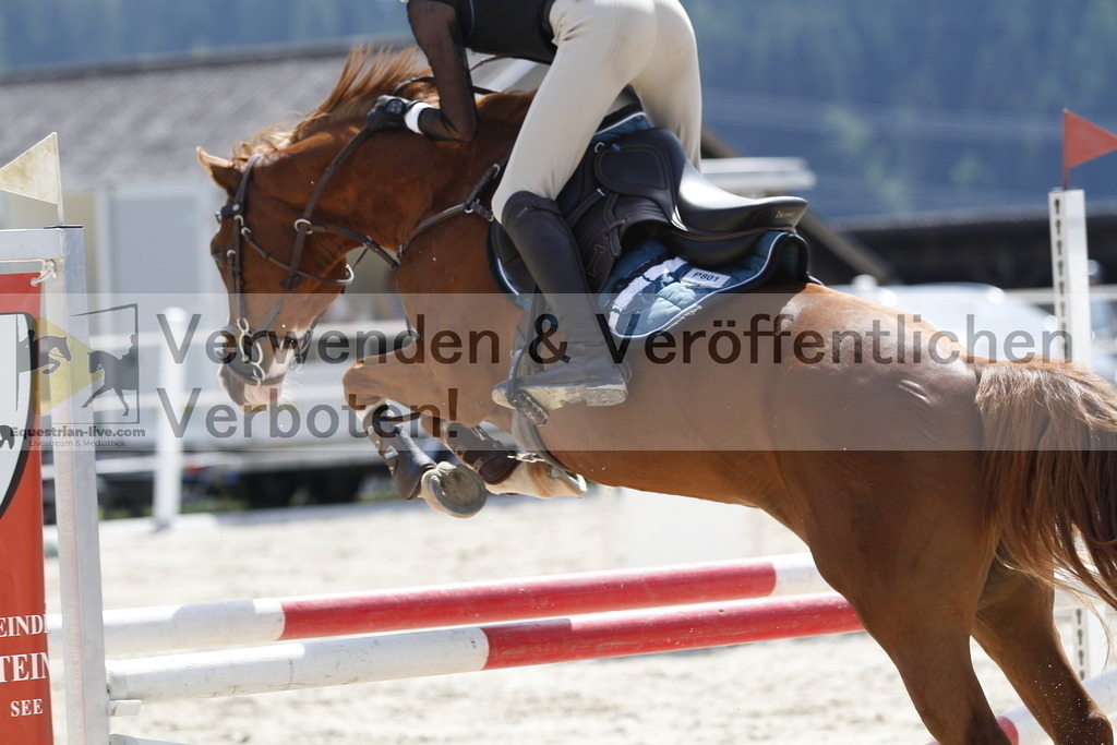 _MG_6215 | equestrian-live-com