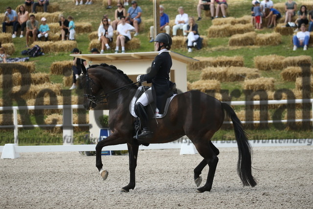 Birkhof_2022_GrandPrixSpecial_Nicole Isser_DiCaprio 4 (25) | Alle Fotos der Reiterjournal Fotografin Doris Matthaes im Reiterjournal Online-Fotoshop. - Realisiert mit Pictrs.com