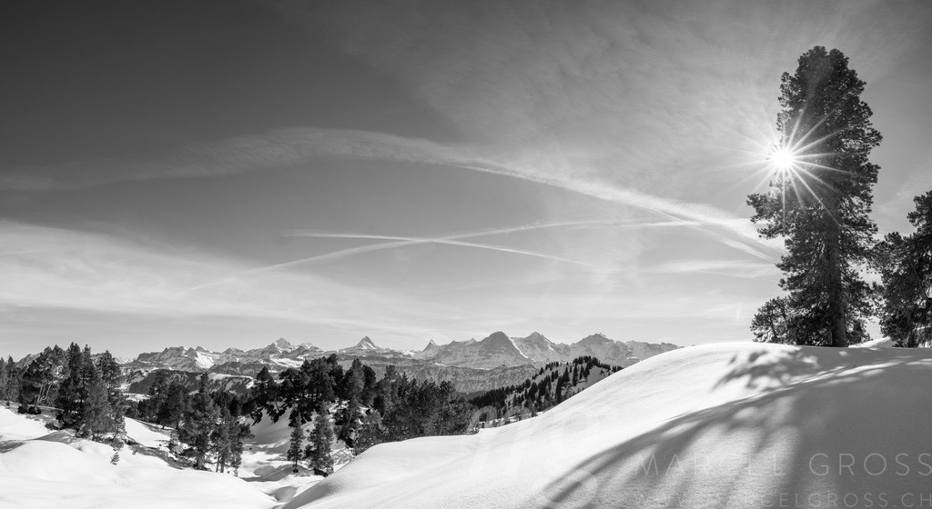 20240205_Habkern-37-Pano | Die ideale Geschenkidee für Naturliebhaber. Naturbilder von Marcel Gross Photography für ihr Zuhause in den verschiedensten Formaten und Materialien. - Realisiert mit Pictrs.com