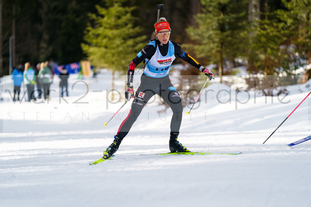 FESA Alpencup / DP Notschrei | Deutschland Pokal Finale im Schwarzwald NORDIC-CENTER Notschrei am 7. - 8. Februar 2026