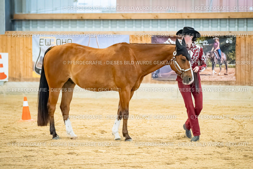 DSC09659 | Pferdegrafie