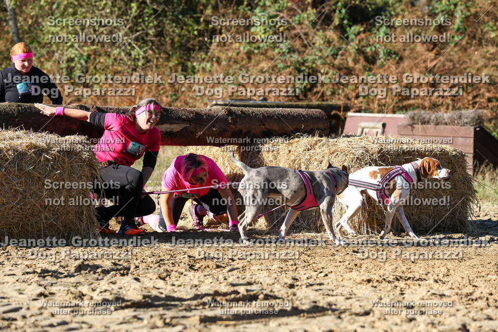 Dog Paparazzi - Strongdog 10-25-1951 | Dog Paparazzi Jeanette Grottendiek Fotografie & Videografie - Realisiert mit Pictrs.com