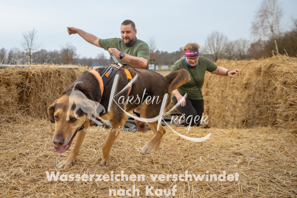 0939_ZZ99513 | kk-dogfotos