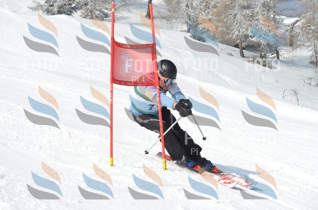 D8982 | holidayphoto