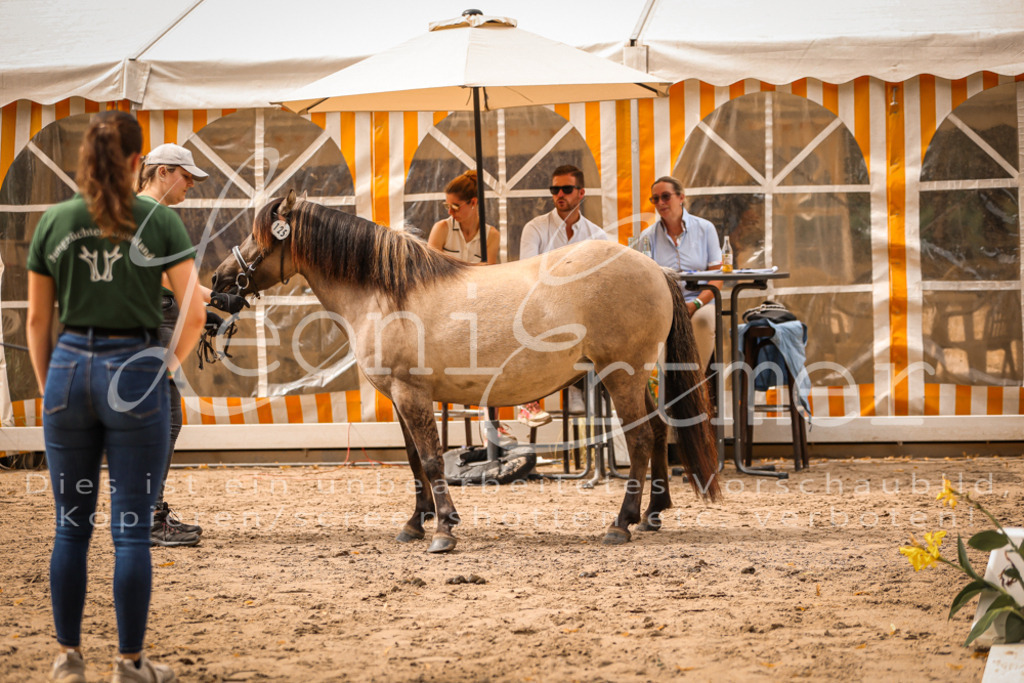 03.So00004 | Leoni Ertmer Photography - Realisiert mit Pictrs.com