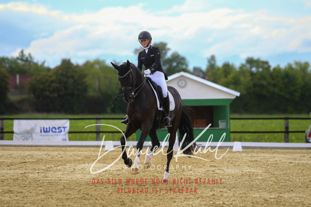 DKP44803 | Turniersportfotografie; Pferdefotografie; Dressurfotografie