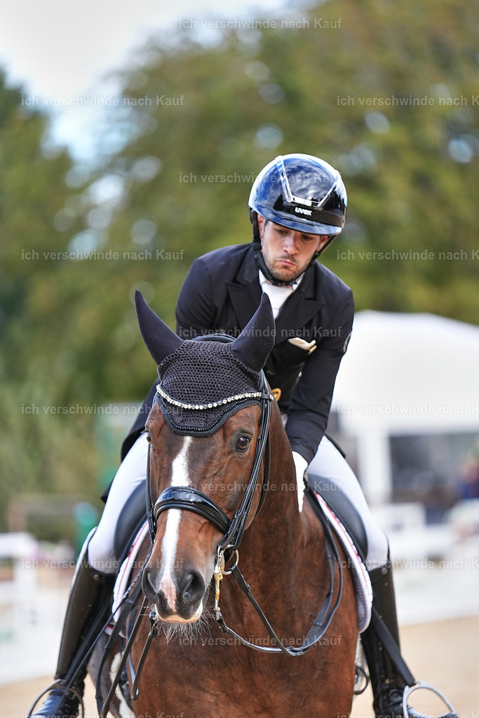 10-207-ST.GEORG SPECIAL -Marixx-3399 | working equitationturnier fotograf videograf stoibphotography marixx film working equitation deutschland reitsport turnierfotografie eventfotografie equestrian events