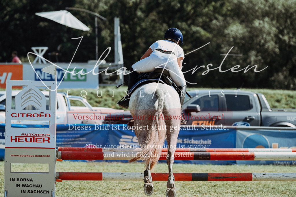 DSC_6527 | Pferde- und Turnierfotografie in Westsachsen. Pferdeportraits, Auftragszeichnungen und intuitive Kunst.