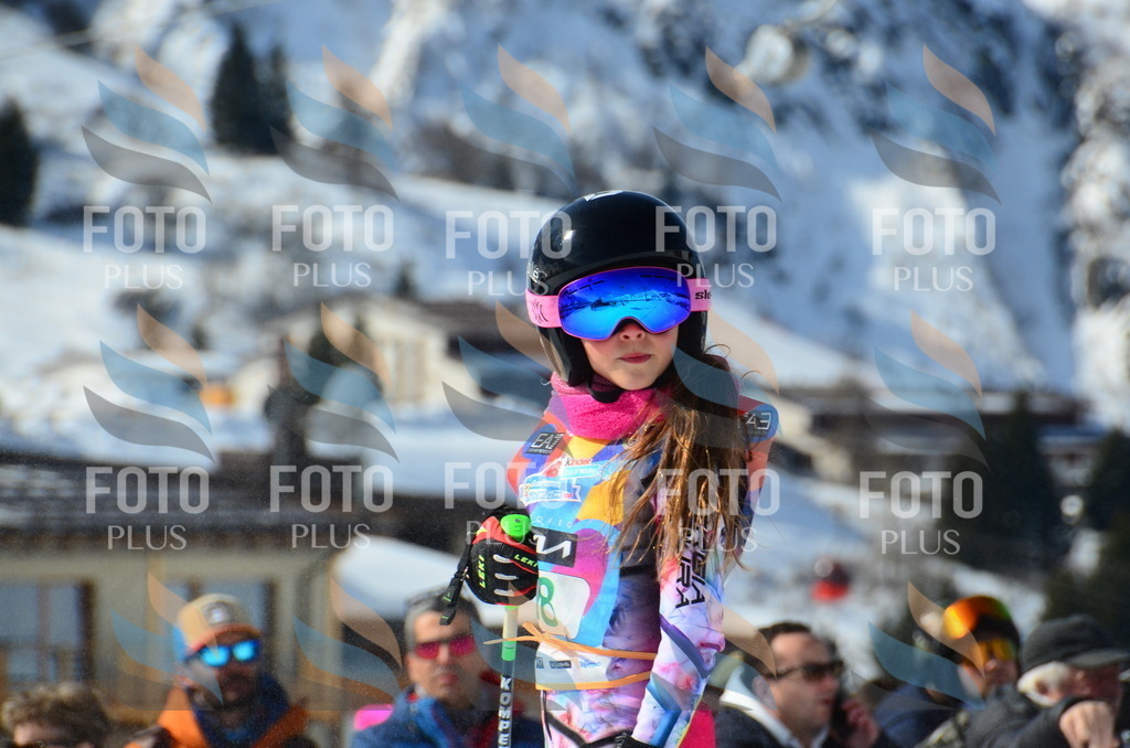 DSC_0485 | holidayphoto