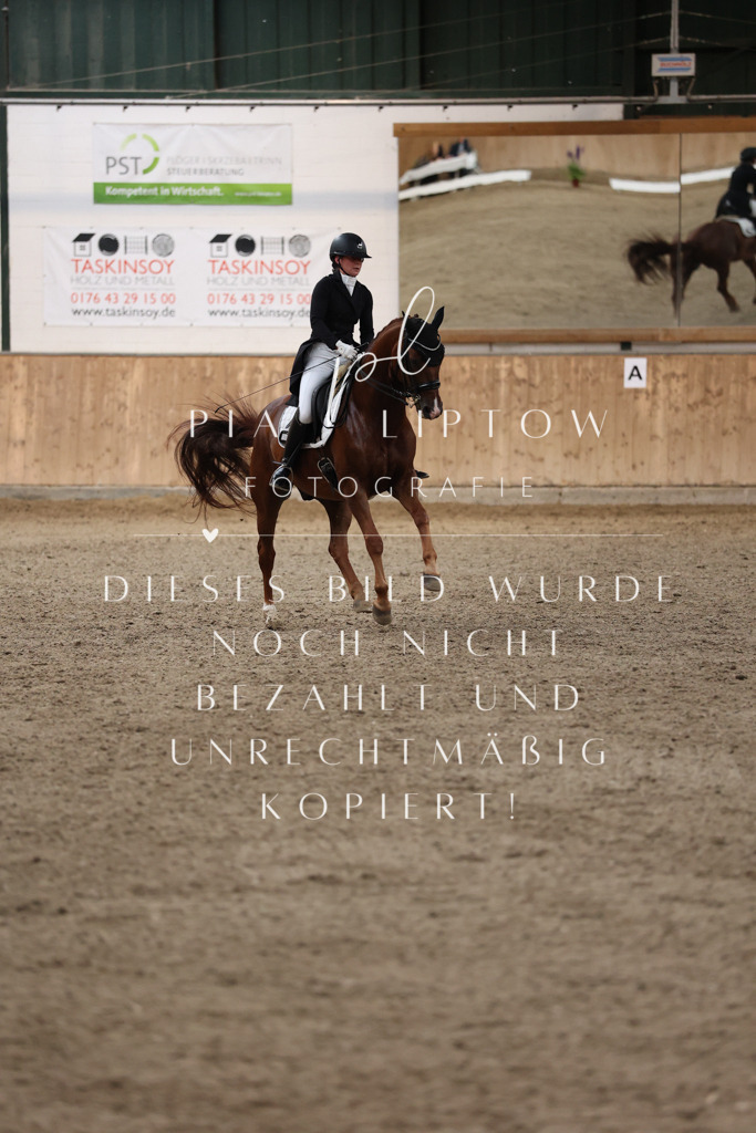 IMGM4859 | pl-fotografie