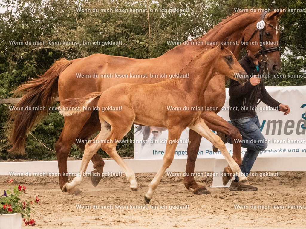 A10I1337 | photographylinaismer - Realisiert mit Pictrs.com