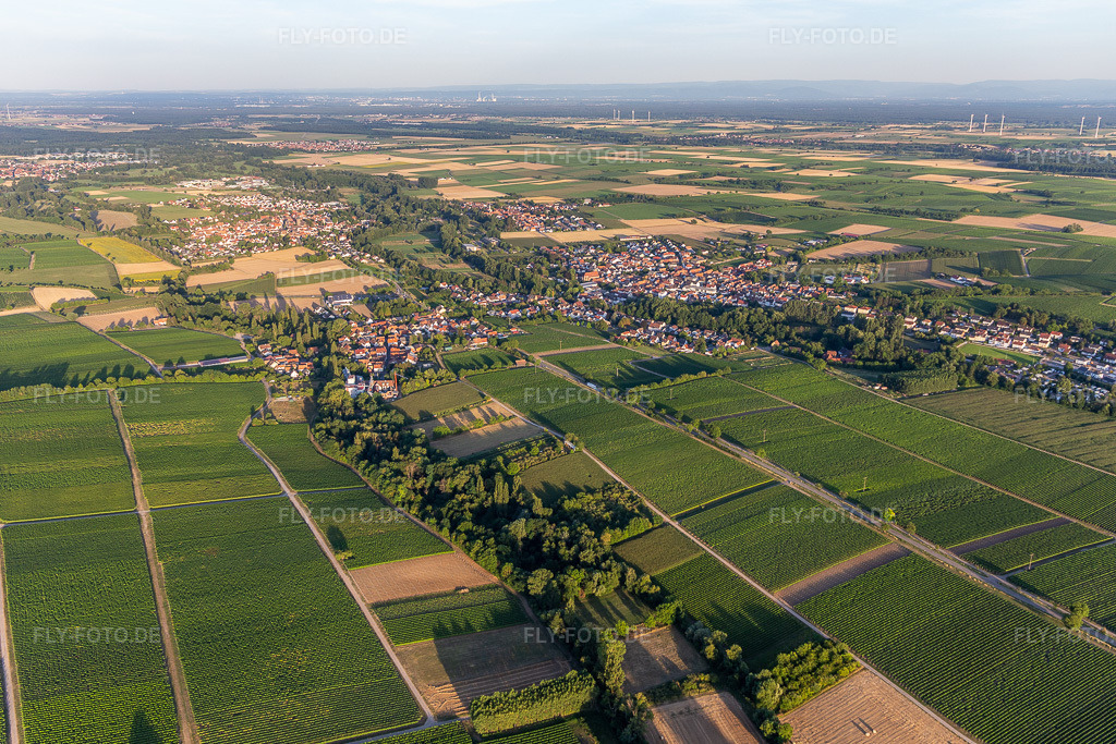Luftbild:  im Ortsteil Ingenheim in Billigheim-Ingenheim im Bundesland Rheinland-Pfalz in Deutschland. Foto: IMG_133694.jpg vom 18.07.2022 durch Werner Riehm/FLY-FOTO.deBilligheim-Ingenheim