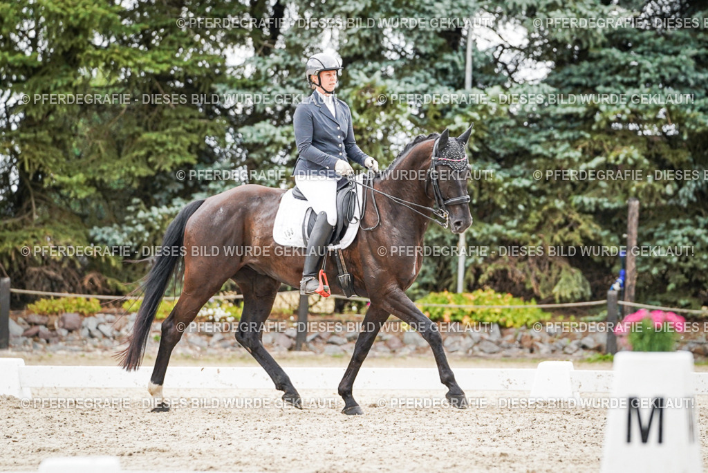 DSC04363 | Pferdegrafie