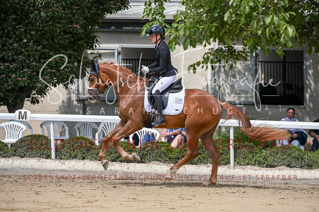 Schugtsche-Aluta25-48.Reitpferfdeprf.-293 | Schugtsche Fotografie - Realisiert mit Pictrs.com